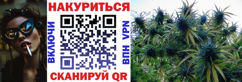 Какие есть наркотики Никольск Марихуана  СК  ГАШИШ  Меф 