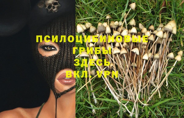 МДПВ Абдулино