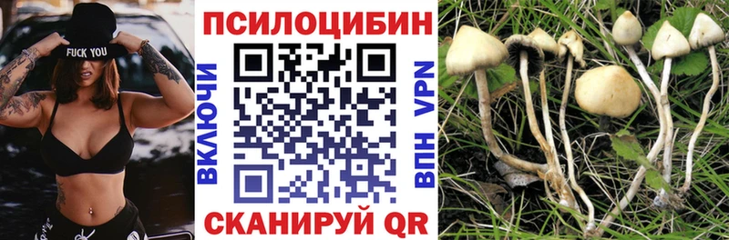 Галлюциногенные грибы Psilocybe Никольск