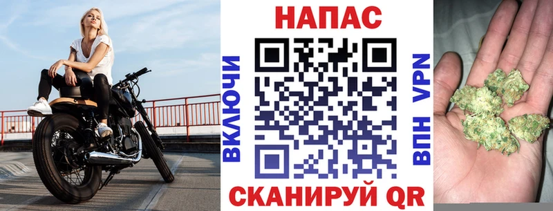 Канабис конопля Никольск