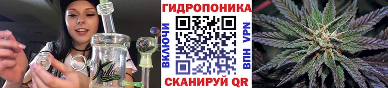 Канабис семена Никольск